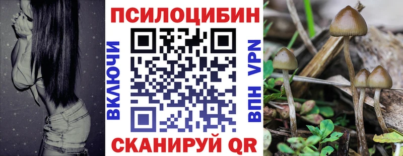 kraken вход Зеленодольск Псилоцибиновые грибы прущие грибы купить наркоту