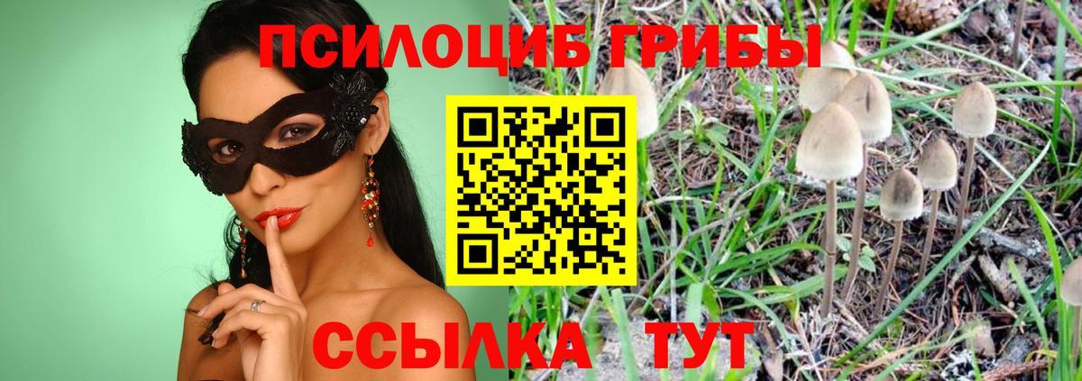 Зеленодольск  Псилоцибиновые грибы мицелий  Вход с VPN 